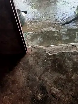 poojaji2024 online show from 02/21/25, 05:35