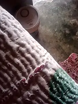 poojaji2024 online show from 03/23/25, 05:54