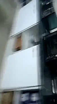 pedritolobito online show from 12/03/24, 01:41