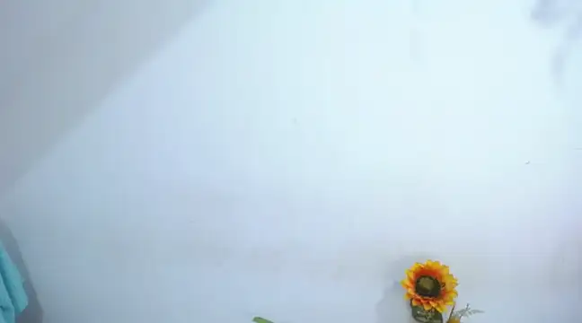 Snapshot of diamonmeli chatting on 01/14/25, 03:57 diamonmeli online show from 01/14/25, 03:57