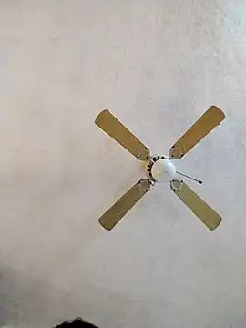 Snapshot of FreakySag_8888 chatting on 03/10/25, 02:06 FreakySag 8888 online show from 03/10/25, 02:06