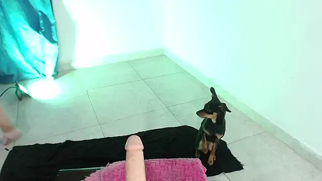 April sexycurvi online show from 11/21/25, 01:37