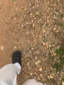 Black mamba madingo online show from 12/11/24, 04:09