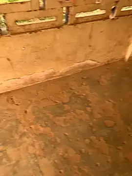 Black mamba madingo online show from 12/23/24, 02:28