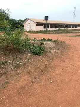 Black mamba madingo online show from 02/22/25, 03:25