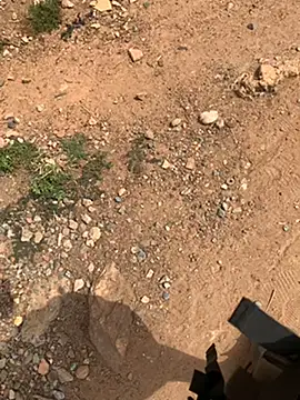 Black mamba madingo online show from 02/27/25, 09:54