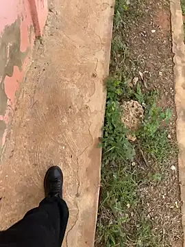 Black mamba madingo online show from 02/21/26, 09:43