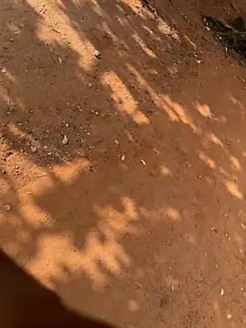 Black mamba madingo online show from 03/21/26, 08:41