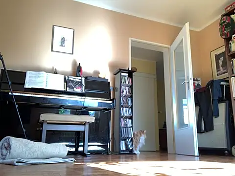 Snapshot of Bula94193 chatting on 09/24/25, 09:45 Bula94193 online show from 09/24/25, 09:45