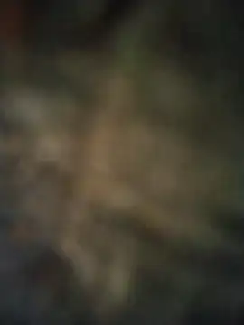 Snapshot of axelongshaft69 chatting on 04/07/26, 06:52 axelongshaft69 online show from 04/07/26, 06:52