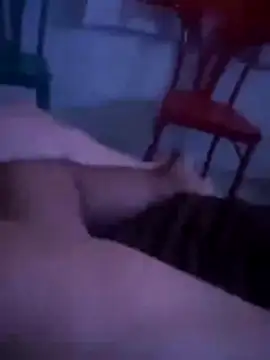 Snapshot of Malubrotudo chatting on 02/01/26, 11:25 Malubrotudo online show from 02/01/26, 11:25