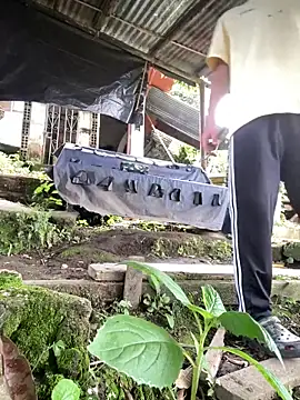 Jestebanano online show from 03/11/26, 04:13