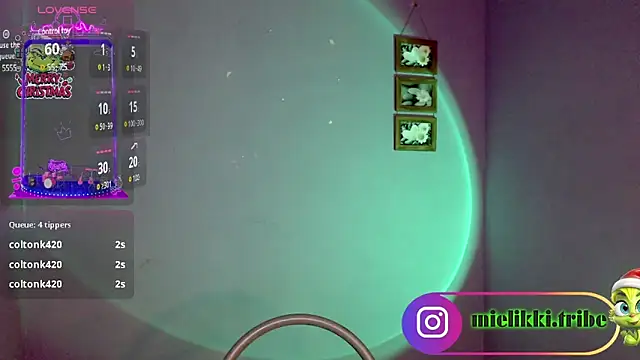 Snapshot of mielikki001 chatting on 01/01/25, 05:43 mielikki001 online show from 01/01/25, 05:43