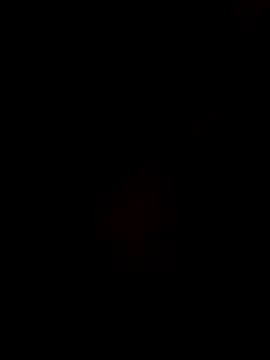 Gujrat player online show from 12/28/24, 02:53