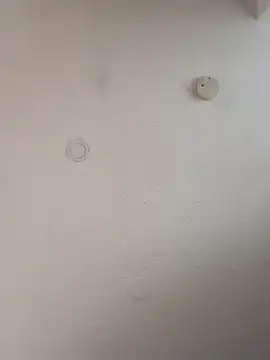 Snapshot of geilerschwanz64 chatting on 01/05/25, 12:10 geilerschwanz64 online show from 01/05/25, 12:10