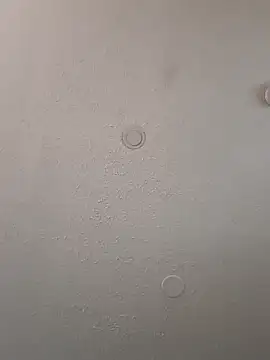 Snapshot of geilerschwanz64 chatting on 01/06/25, 12:57 geilerschwanz64 online show from 01/06/25, 12:57