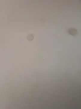 Snapshot of geilerschwanz64 chatting on 01/09/25, 09:05 geilerschwanz64 online show from 01/09/25, 09:05