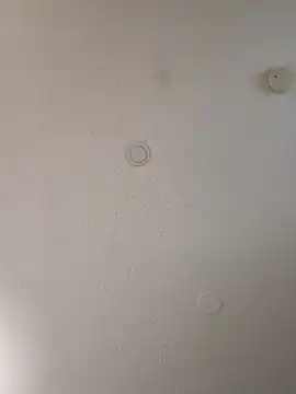 Snapshot of geilerschwanz64 chatting on 01/10/25, 07:04 geilerschwanz64 online show from 01/10/25, 07:04