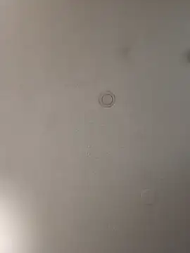 Snapshot of geilerschwanz64 chatting on 01/15/25, 08:37 geilerschwanz64 online show from 01/15/25, 08:37