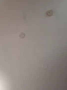 Snapshot of geilerschwanz64 chatting on 01/18/25, 11:21 geilerschwanz64 online show from 01/18/25, 11:21