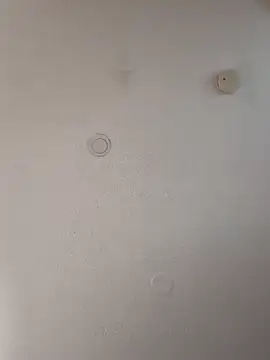 Snapshot of geilerschwanz64 chatting on 01/18/25, 04:31 geilerschwanz64 online show from 01/18/25, 04:31