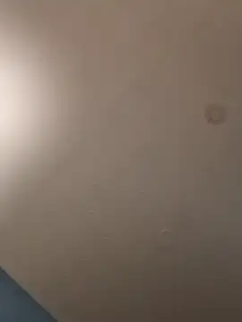 Snapshot of geilerschwanz64 chatting on 01/21/25, 05:16 geilerschwanz64 online show from 01/21/25, 05:16