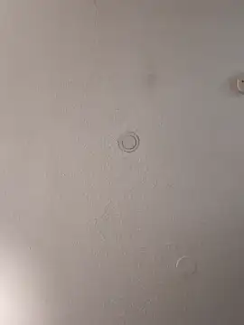 Snapshot of geilerschwanz64 chatting on 02/02/25, 04:00 geilerschwanz64 online show from 02/02/25, 04:00