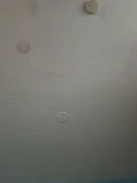 Snapshot of geilerschwanz64 chatting on 02/03/25, 05:46 geilerschwanz64 online show from 02/03/25, 05:46