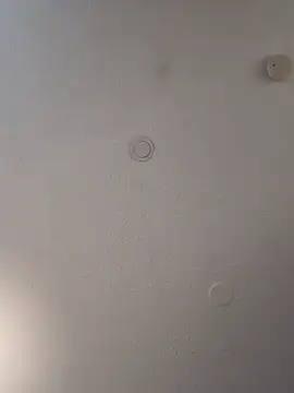 Snapshot of geilerschwanz64 chatting on 02/19/25, 07:05 geilerschwanz64 online show from 02/19/25, 07:05