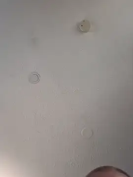 Snapshot of geilerschwanz64 chatting on 03/14/25, 08:17 geilerschwanz64 online show from 03/14/25, 08:17