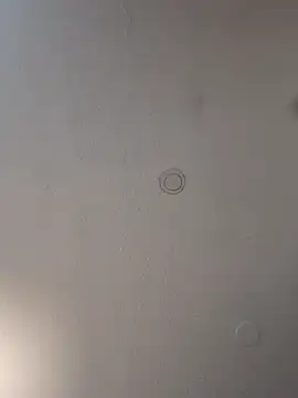 Snapshot of geilerschwanz64 chatting on 03/19/25, 12:59 geilerschwanz64 online show from 03/19/25, 12:59