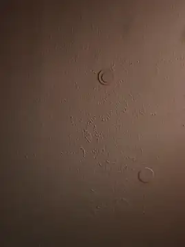 Snapshot of geilerschwanz64 chatting on 03/20/25, 11:49 geilerschwanz64 online show from 03/20/25, 11:49