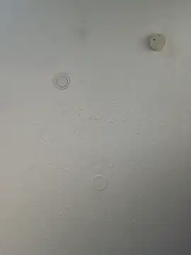 Snapshot of geilerschwanz64 chatting on 03/20/25, 10:18 geilerschwanz64 online show from 03/20/25, 10:18