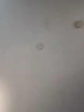 Snapshot of geilerschwanz64 chatting on 03/21/25, 06:05 geilerschwanz64 online show from 03/21/25, 06:05