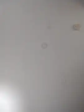 Snapshot of geilerschwanz64 chatting on 10/10/25, 06:01 geilerschwanz64 online show from 10/10/25, 06:01