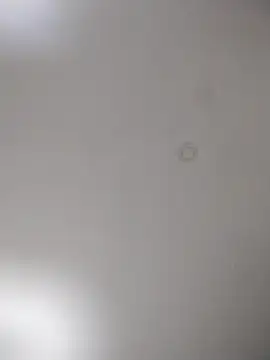 Snapshot of geilerschwanz64 chatting on 10/15/25, 09:59 geilerschwanz64 online show from 10/15/25, 09:59