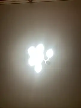 Snapshot of Janet_Welder chatting on 12/02/24, 06:09 Janet Welder online show from 12/02/24, 06:09