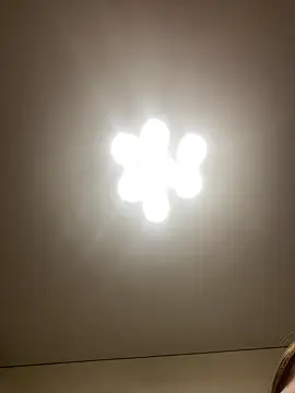 Snapshot of Janet_Welder chatting on 12/16/24, 07:37 Janet Welder online show from 12/16/24, 07:37