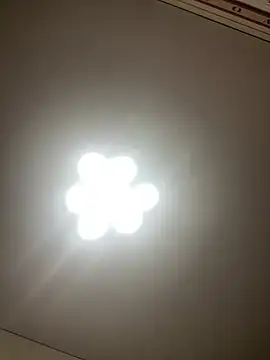 Snapshot of Janet_Welder chatting on 12/19/24, 06:56 Janet Welder online show from 12/19/24, 06:56