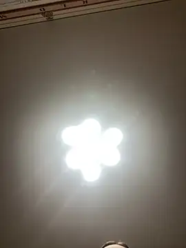 Snapshot of Janet_Welder chatting on 12/20/24, 08:34 Janet Welder online show from 12/20/24, 08:34