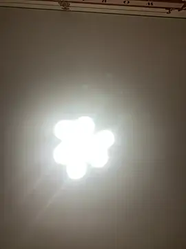 Snapshot of Janet_Welder chatting on 12/20/24, 11:37 Janet Welder online show from 12/20/24, 11:37