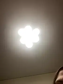 Snapshot of Janet_Welder chatting on 12/22/24, 12:07 Janet Welder online show from 12/22/24, 12:07