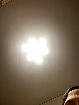 Janet Welder online show from 11/15/25, 01:03