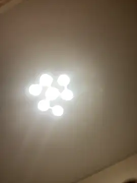 Snapshot of Janet_Welder chatting on 03/11/26, 08:48 Janet Welder online show from 03/11/26, 08:48