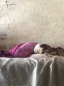 Sweet   Dick online show from 01/30/25, 07:18