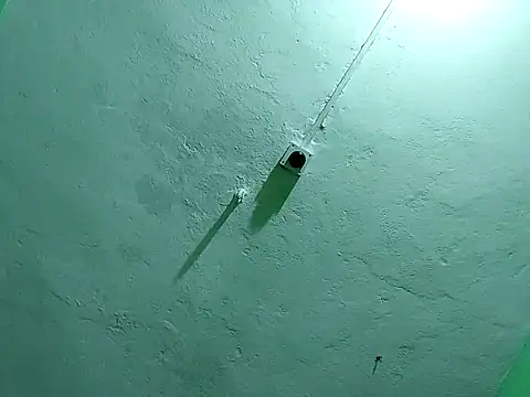 RADHAHO online show from 11/02/25, 09:50