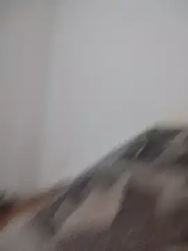 Satiro Sevilla online show from 02/24/26, 12:19