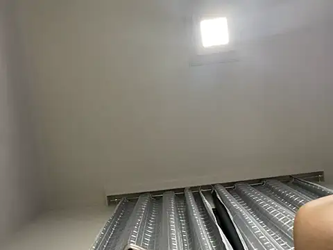 Snapshot of lariic chatting on 03/13/25, 11:27 lariic online show from 03/13/25, 11:27