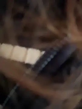 im lorein online show from 01/03/25, 01:14