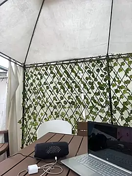 im lorein online show from 02/21/25, 03:10